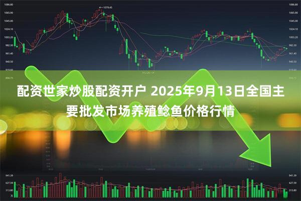配资世家炒股配资开户 2025年9月13日全国主要批发市场养殖鲶鱼价格行情