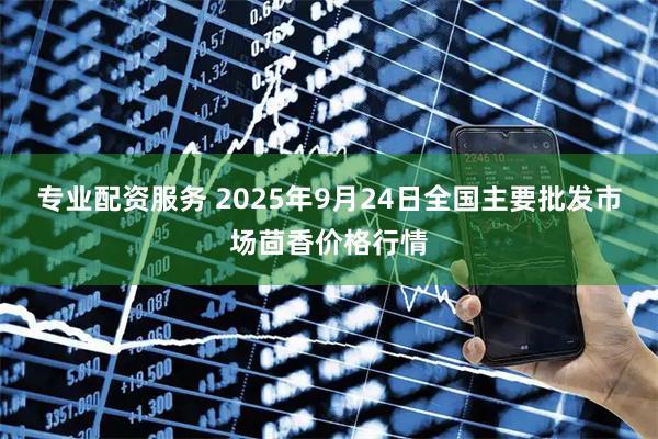 专业配资服务 2025年9月24日全国主要批发市场茴香价格行情