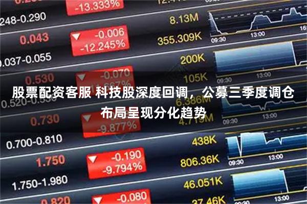 股票配资客服 科技股深度回调，公募三季度调仓布局呈现分化趋势